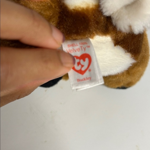 Ty Beanie Babies Ty Beanie Boo Buckley - Picture 3 of 3